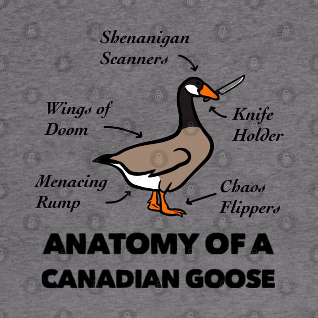 Anatomy of a Canadian Goose by TheUnknown93